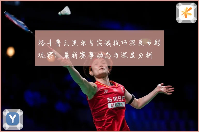 格斗普瓦里尔与实战技巧深度专题观察：最新赛事动态与深度分析