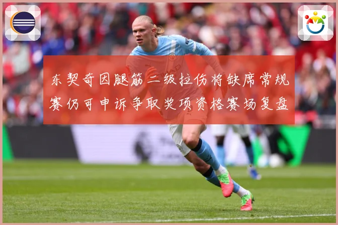 东契奇因腿筋二级拉伤将缺席常规赛仍可申诉争取奖项资格赛场复盘：最新赛事动态与深度分析